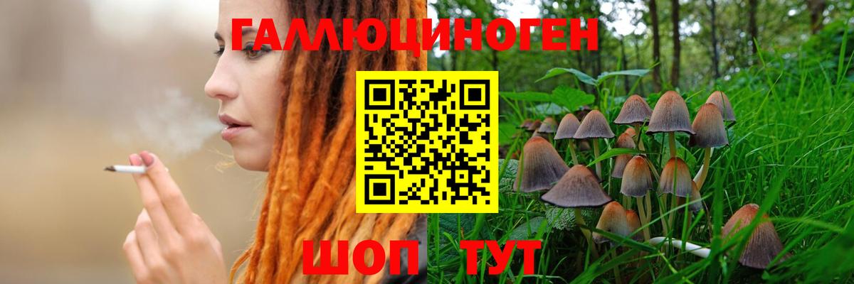Галлюциногенные грибы мухоморы Котельники